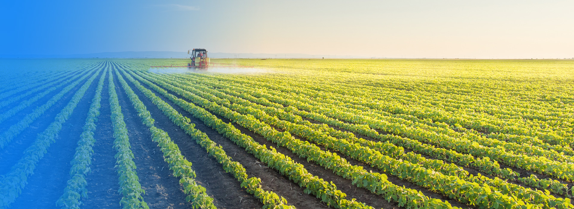 jinnian金年会农业公司